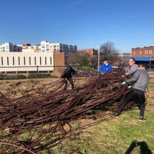 Volunteers assist with clean-up and preparation efforts for the Bull City Community Garden.